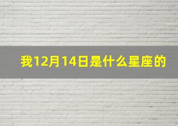 我12月14日是什么星座的