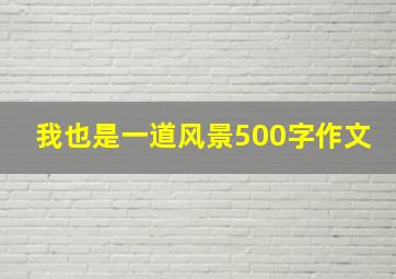 我也是一道风景500字作文