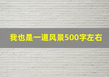 我也是一道风景500字左右