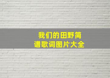 我们的田野简谱歌词图片大全