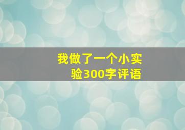 我做了一个小实验300字评语