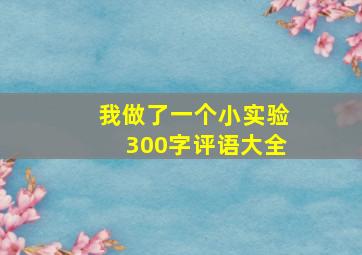 我做了一个小实验300字评语大全