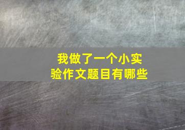 我做了一个小实验作文题目有哪些