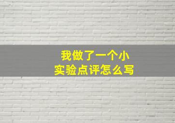 我做了一个小实验点评怎么写