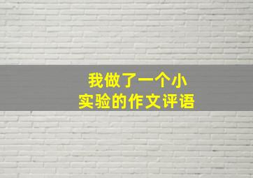 我做了一个小实验的作文评语