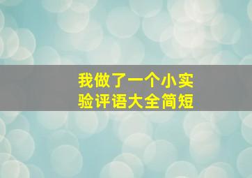 我做了一个小实验评语大全简短