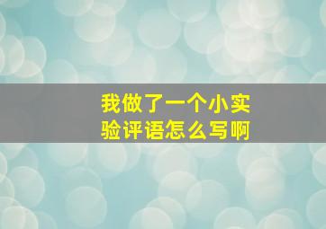 我做了一个小实验评语怎么写啊