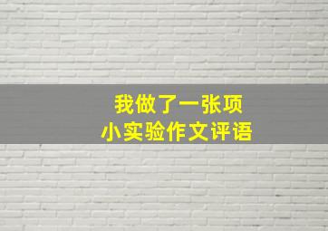 我做了一张项小实验作文评语