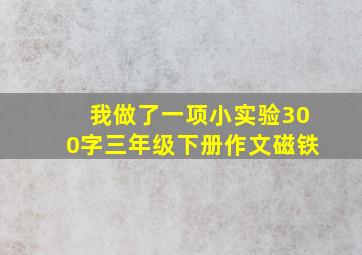 我做了一项小实验300字三年级下册作文磁铁