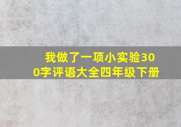 我做了一项小实验300字评语大全四年级下册