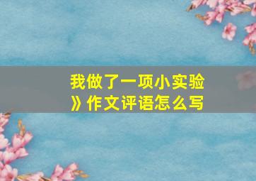 我做了一项小实验》作文评语怎么写