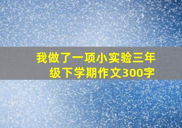 我做了一项小实验三年级下学期作文300字