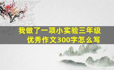 我做了一项小实验三年级优秀作文300字怎么写