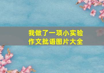 我做了一项小实验作文批语图片大全