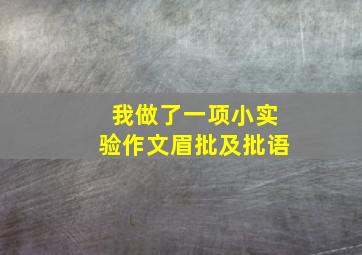 我做了一项小实验作文眉批及批语