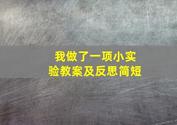 我做了一项小实验教案及反思简短