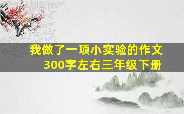 我做了一项小实验的作文300字左右三年级下册