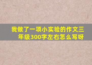 我做了一项小实验的作文三年级300字左右怎么写呀