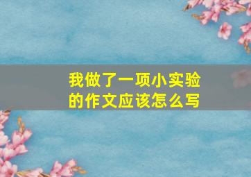 我做了一项小实验的作文应该怎么写