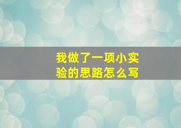 我做了一项小实验的思路怎么写