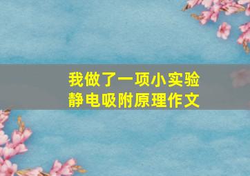 我做了一项小实验静电吸附原理作文