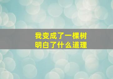 我变成了一棵树明白了什么道理