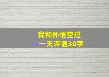 我和孙悟空过一天评语30字