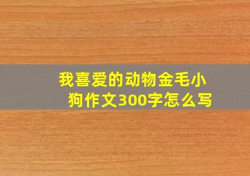 我喜爱的动物金毛小狗作文300字怎么写