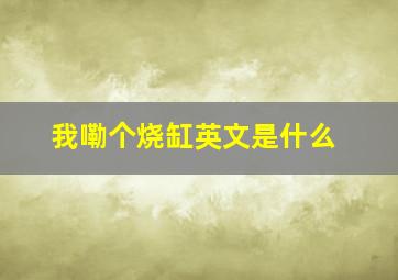 我嘞个烧缸英文是什么