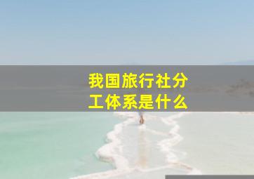 我国旅行社分工体系是什么