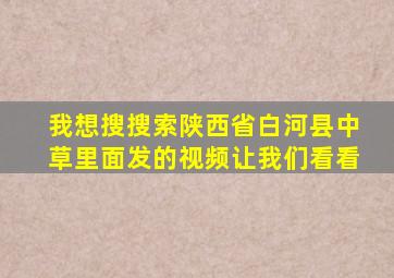 我想搜搜索陕西省白河县中草里面发的视频让我们看看