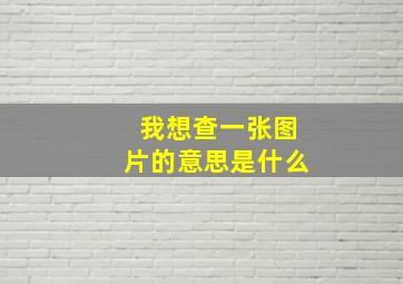 我想查一张图片的意思是什么