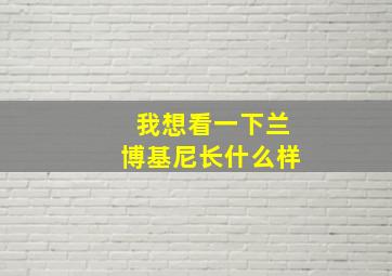 我想看一下兰博基尼长什么样