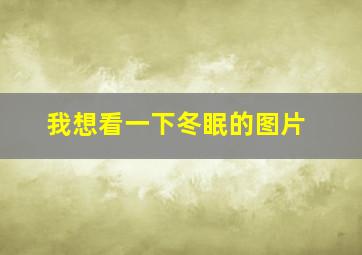 我想看一下冬眠的图片