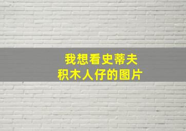 我想看史蒂夫积木人仔的图片