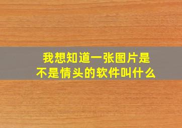 我想知道一张图片是不是情头的软件叫什么