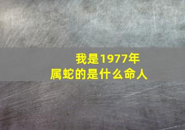 我是1977年属蛇的是什么命人