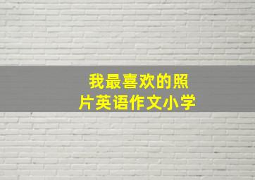 我最喜欢的照片英语作文小学