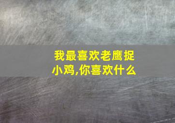 我最喜欢老鹰捉小鸡,你喜欢什么