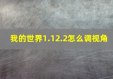 我的世界1.12.2怎么调视角