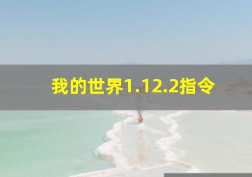 我的世界1.12.2指令