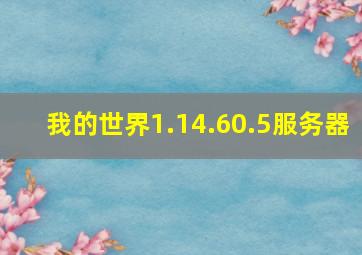 我的世界1.14.60.5服务器