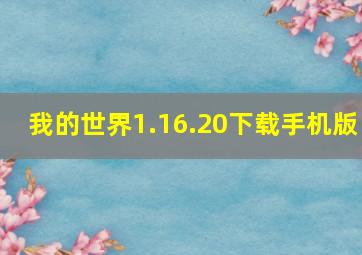 我的世界1.16.20下载手机版