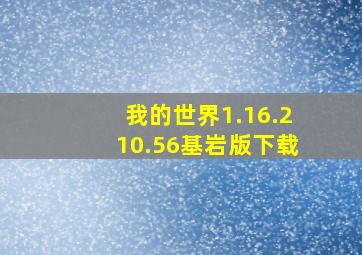 我的世界1.16.210.56基岩版下载