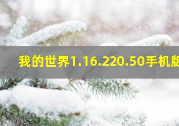 我的世界1.16.220.50手机版