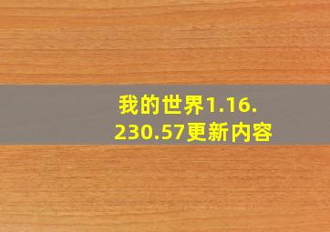 我的世界1.16.230.57更新内容