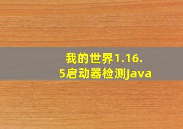 我的世界1.16.5启动器检测Java