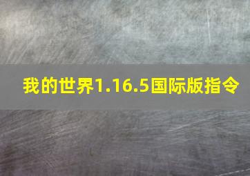 我的世界1.16.5国际版指令