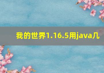 我的世界1.16.5用java几