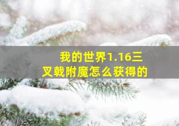 我的世界1.16三叉戟附魔怎么获得的